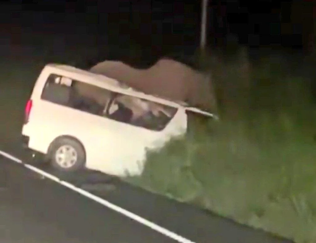 Minibus Crashes Into Elephant In Uganda National Park, Killing 3 People