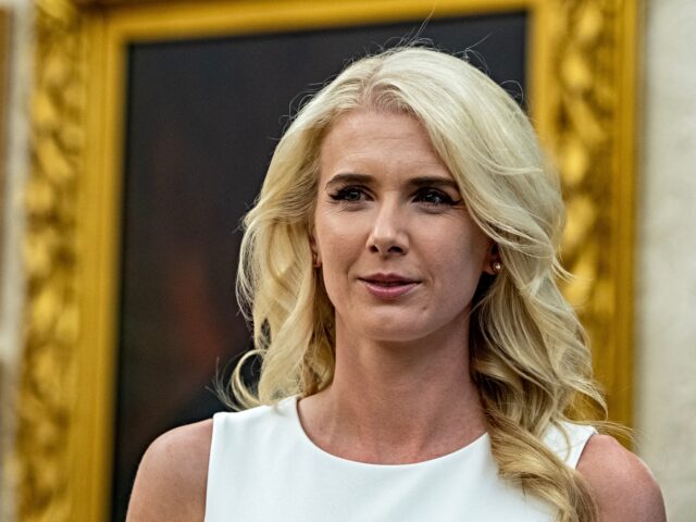 Nolte: Sleazy CNN Falsely Accuses Natalie Harp Of ‘Jumping Into The Trunk’ Of A ‘Car’
