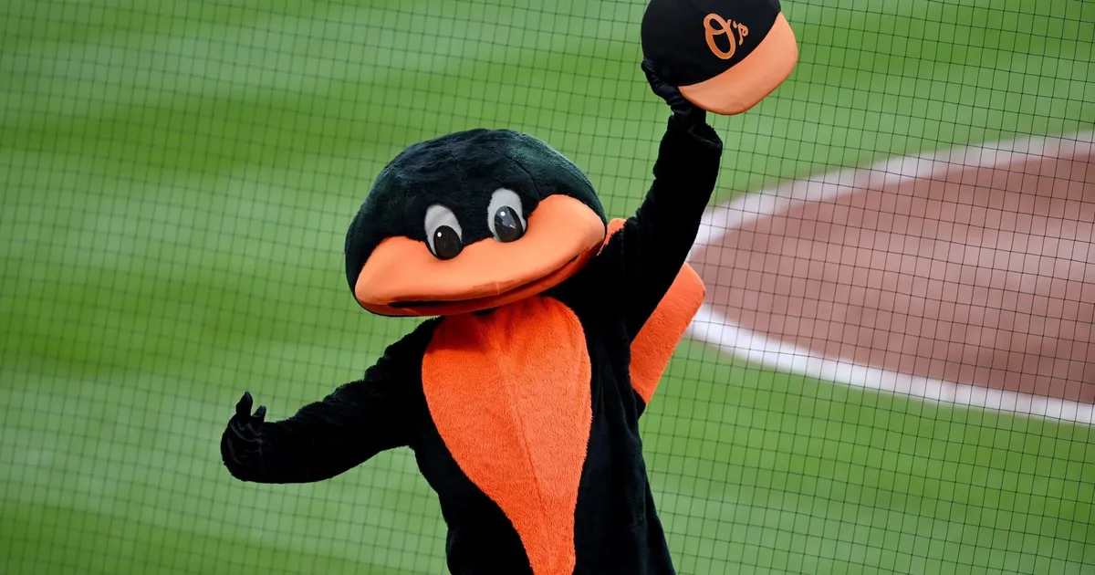 Report: Baltimore Orioles Mascot Among Staff Layoffs